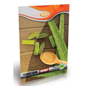 12 Cavity Nonstick Brownie Tray